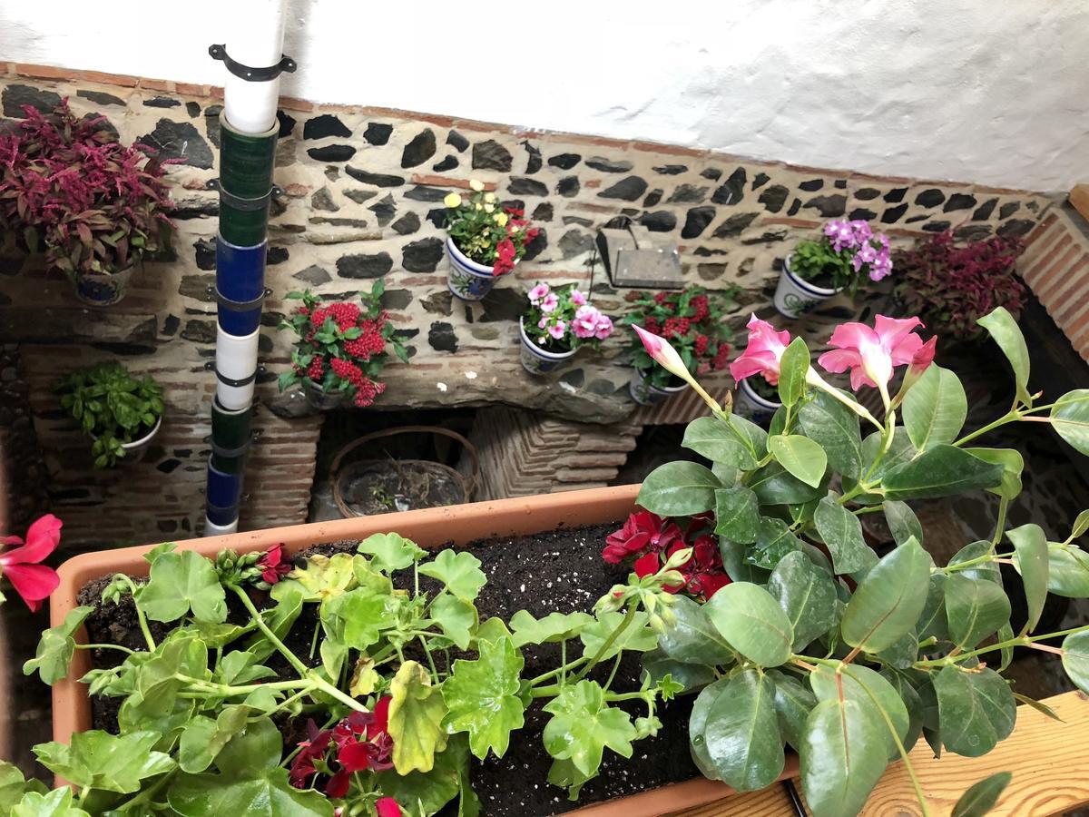 Hotel Posada Del Bandolero Borge Εξωτερικό φωτογραφία